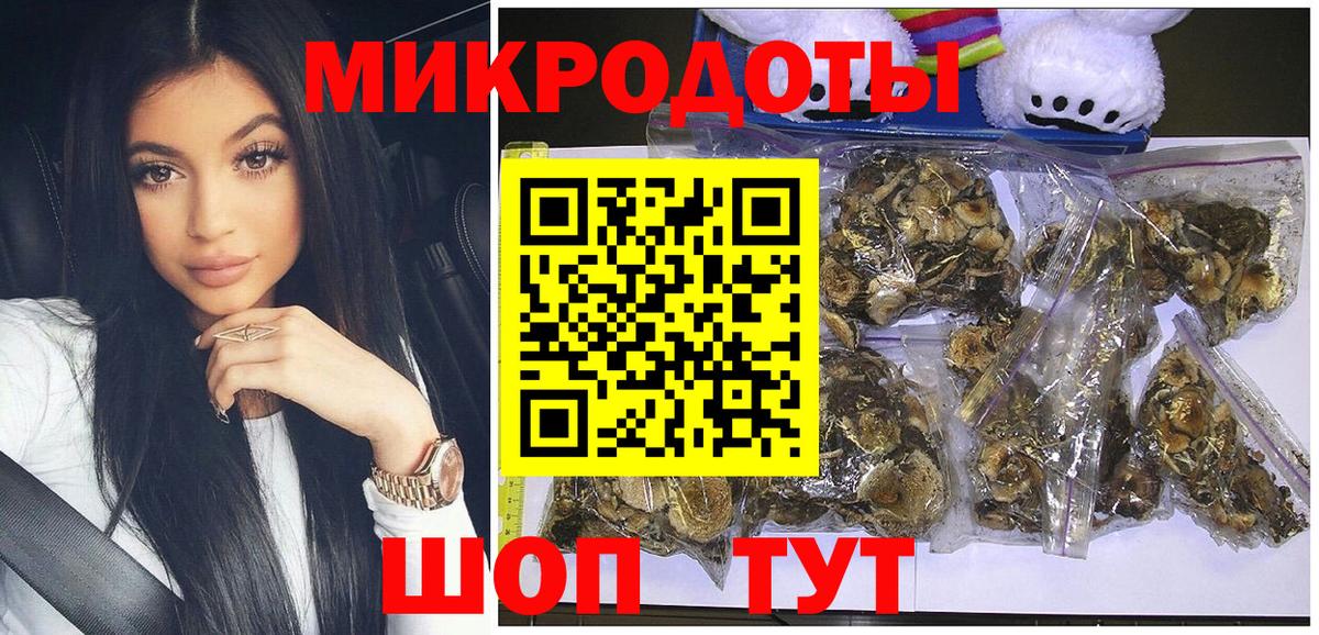Галлюциногенные грибы Cubensis Апрелевка