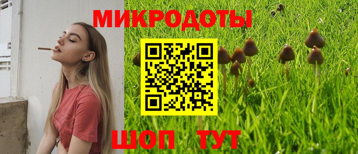 Псилоцибиновые грибы мицелий  Вход с VPN  Апрелевка  Псилоцибиновые грибы ЛСД 